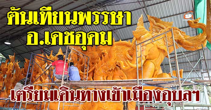 ต้นเทียนพรรษา-เดชอุดม-01.jpg