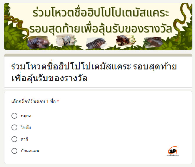 ประกวดตั้งชื่อ-ลูกฮิปโปแคระ-02.jpg