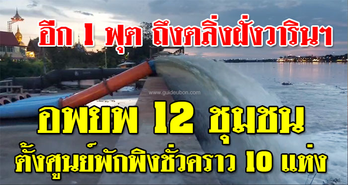 อีก1ฟุต-ตลิ่งฝั่งวาริน-01.jpg