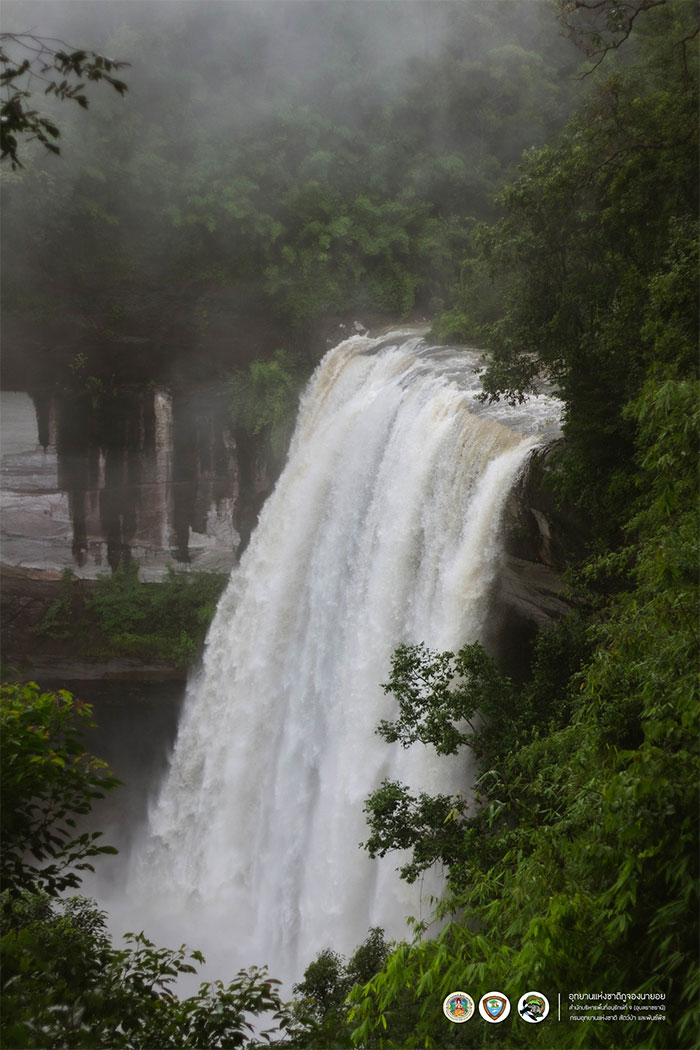 น้ำตกห้วยหลวง-ภูจองนา-ยอย-02.jpg