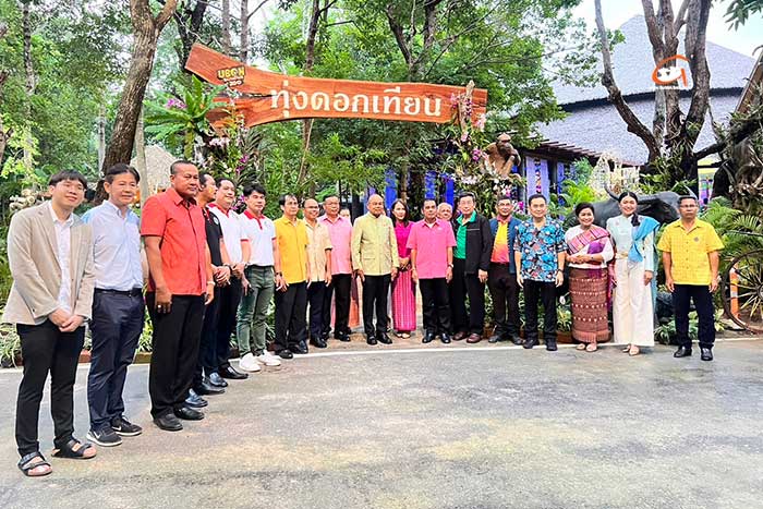 ทุ่งดอกเทียนหอมเรืองแสง-Ubon-Zoo-02.jpg