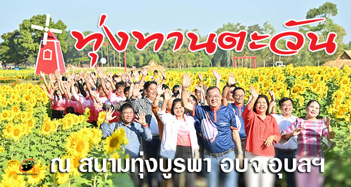 ทุ่งทานตะวัน67-อบจ-อุบล-01.jpg