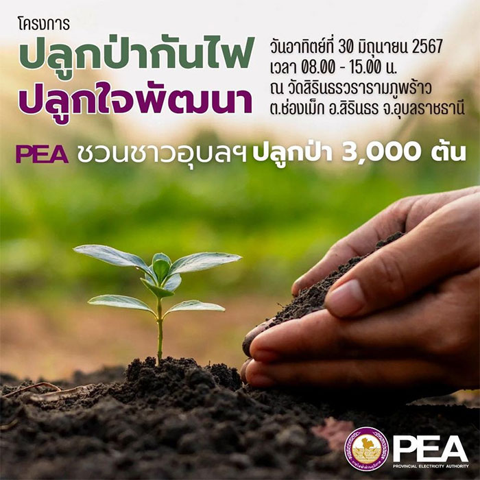 PEA-ปลูกป่า-3พันต้น-02.jpg