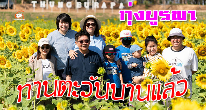 ทุ่งบูรพา-ทานตะวัน-01.jpg