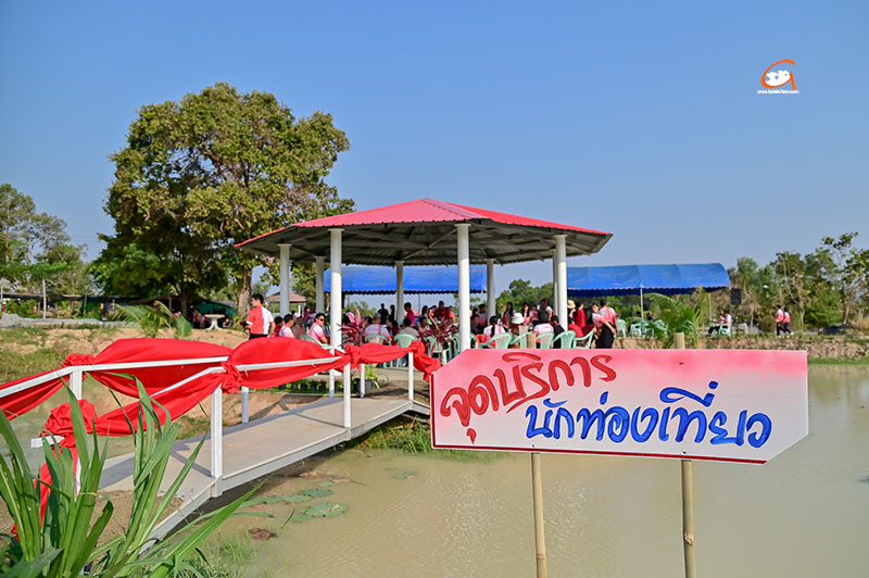 จิบกาแฟ แลดอกทานตะวัน ณ สนามกีฬาทุ่งบูรพา