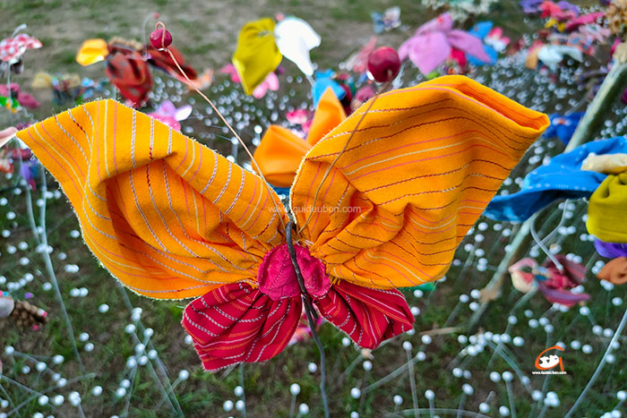 ผีเสื้อและดอกไม้ป่า-อุบล-09.jpg