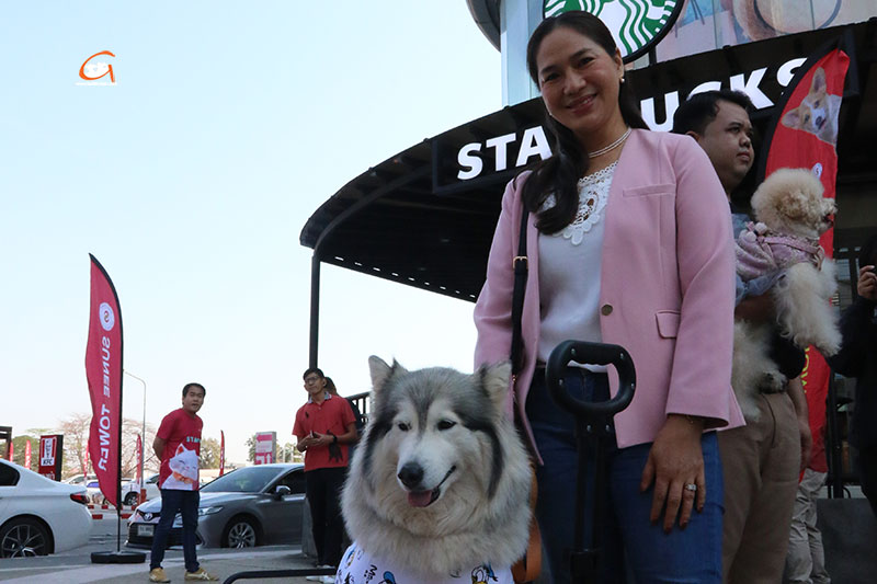 PET COMPLEX EXPO 2025 รวมพลคนรักสัตว์ อีสานใต้ ครั้งที่ 2