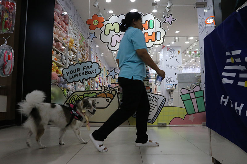 PET COMPLEX EXPO 2025 รวมพลคนรักสัตว์ อีสานใต้ ครั้งที่ 2