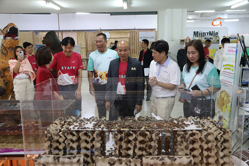 PET COMPLEX EXPO 2025 รวมพลคนรักสัตว์ อีสานใต้ ครั้งที่ 2