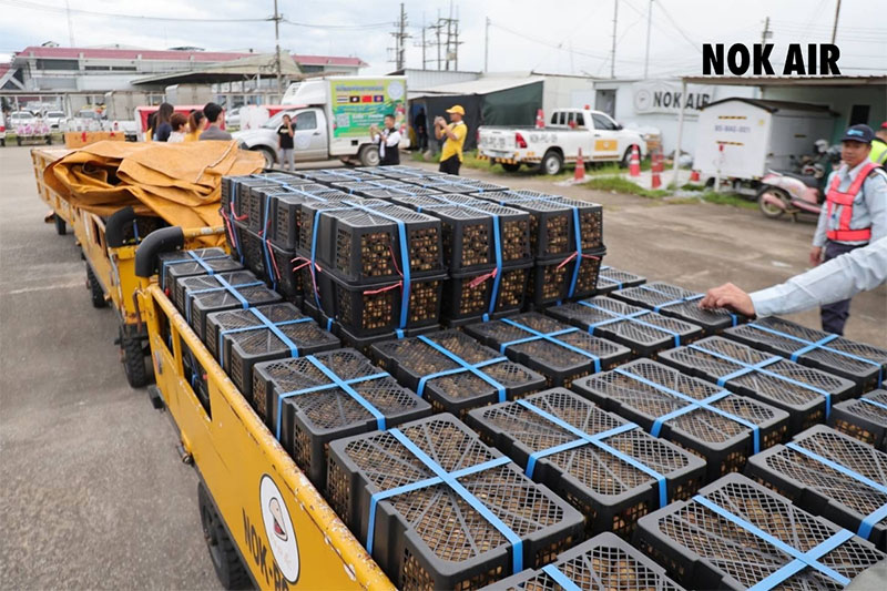 นกแอร์ร่วมส่งกำลังใจ บินตรงจากเชียงรายสู่ชายแดนไทย-กัมพูชา